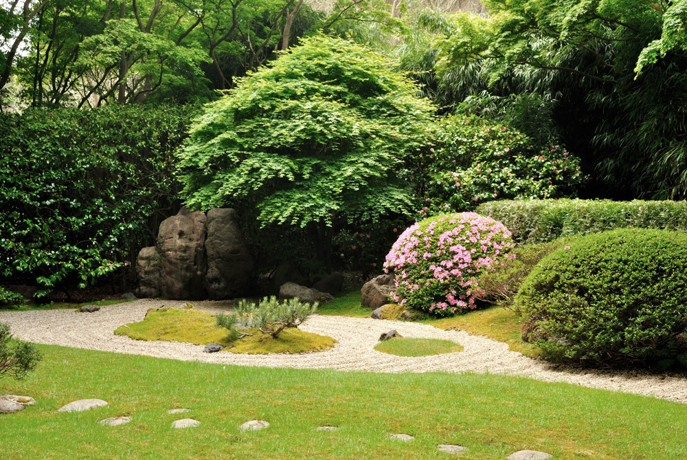 Il giardino
